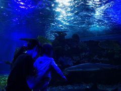 -江和美海洋公园