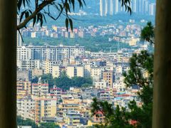 -风云岭森林公园