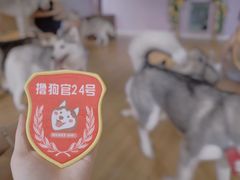 -Husky Go! 哈士奇体验馆·宠物咖啡厅狗咖
