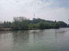 -鲁镇