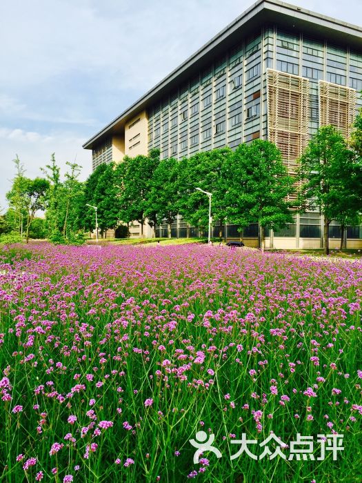 華東師範大學(閔行校區)圖片 - 第34張