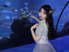 -重庆欢乐海底世界