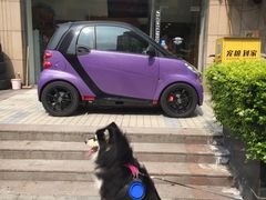 -PETKIT小佩宠物(古北店)