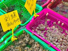 -众味海鲜大排档·活海鲜·潮汕味(南澳店)