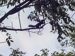 -崇圣寺三塔文化旅游区