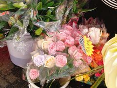 -越秀西湖花市(广州城市广场花卉店)