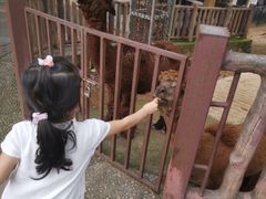 -石家庄市动物园