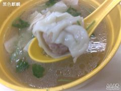 香肠鲜肉馄饨的内馅-吉祥馄饨