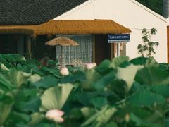 -梁鸿国家湿地公园