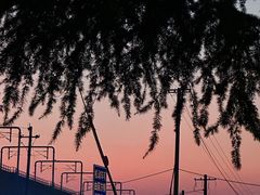 -老山国家森林公园