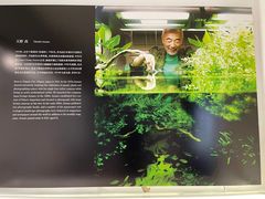 -ADA自然水景世界