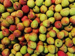 -鑫福隆生鲜超市(沈营大街店)