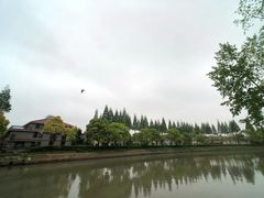 -嘉定紫藤园