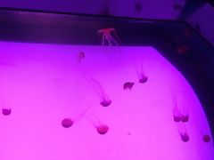 -沈阳海洋探索中心