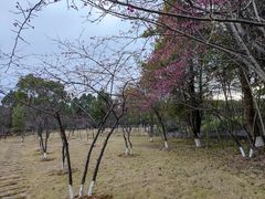 -广东大峡谷
