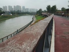 -府河摄影公园