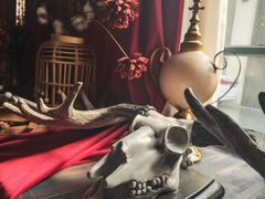 -雪灵魔法世界SHELLY’S TAROT(大良桂畔里店)