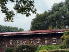-中国茶叶博物馆(双峰馆区)
