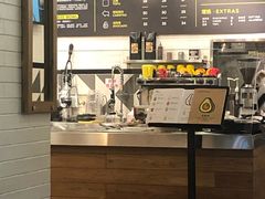 -油梨树 AVOCADO TREE(亮马桥店)
