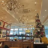 玛格萝妮！我会反复刷的宝藏意式餐厅