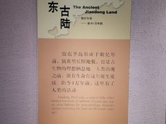 -烟台市博物馆