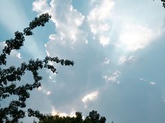 -晓港公园