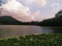 -西湖外事游船(花港观鱼码头)