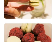 -蝶舍·MAISON PAPILLON