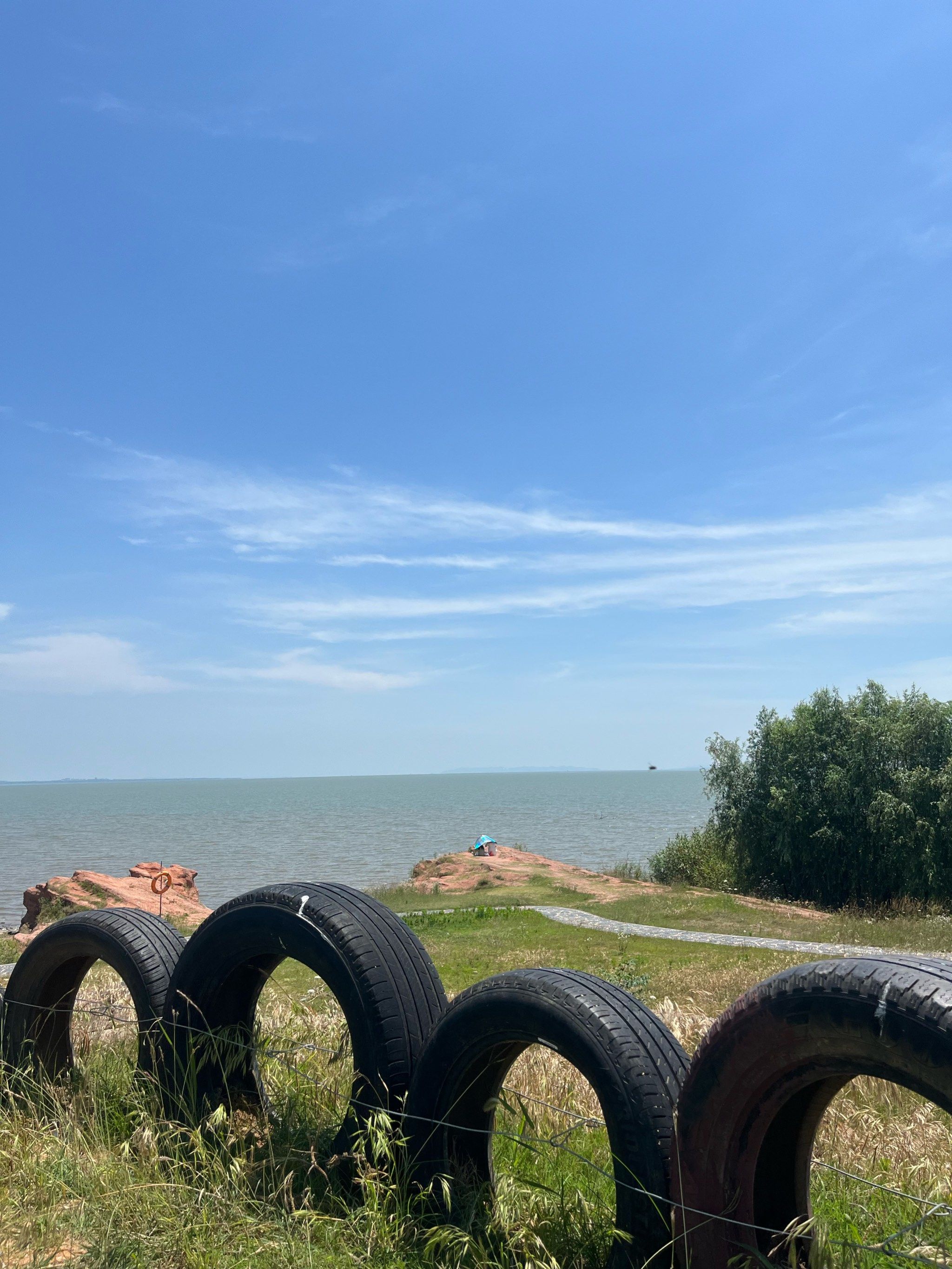 环巢湖美景