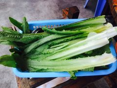 -章记正宗南岗鱼蛋火锅