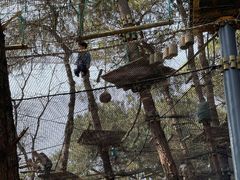 -芦仙山景区-飞越丛林探险乐园