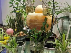 -七星龙虾城·海鲜·大闸蟹(吴江店)