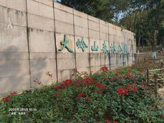 -东莞市大岭山森林公园