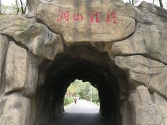 -龙沙公园