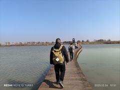 -盐城丹顶鹤湿地生态旅游区