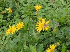 -汉长安城未央宫国家考古遗址公园