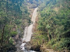 -姑婆山旅游区