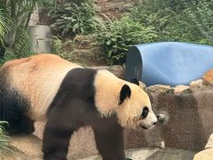 -石排湾郊野公园