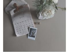 -双季花艺园艺市场(浦东店)