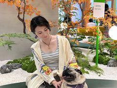 -帕帕拉兹宠物(亚洲旗舰店)