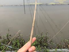 -梁鸿国家湿地公园