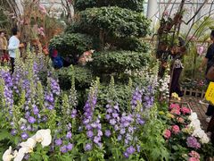 -沈阳植物园