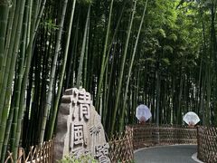 -陈家山荷花公园