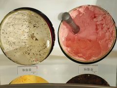 -汉城馆·烤肉火锅餐厅·韩国烤肉(河北云瑧世纪大饭店)