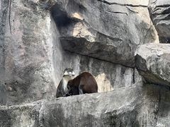 -南昌动物园