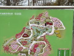 -天适樱花悠乐园