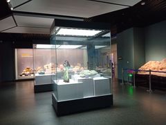 -湖南省地质博物馆