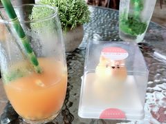 -柴犬高等学院·狗咖·柴犬售卖·宠物训练