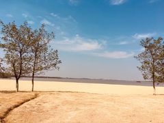 -瑶湖郊野森林公园