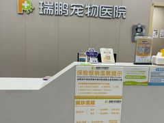 -瑞鹏宠物医院·骨外科·心肾科·肿瘤科(九亭店)